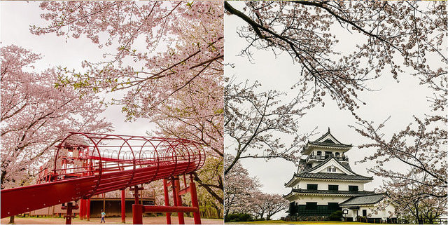 如詩如畫的夢幻場景！賞櫻、逛城堡、溜滑梯 三個願望一次滿足_img_1