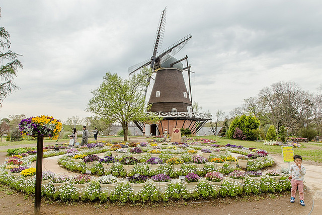 如詩如畫的夢幻場景！賞櫻、逛城堡、溜滑梯 三個願望一次滿足_img_17