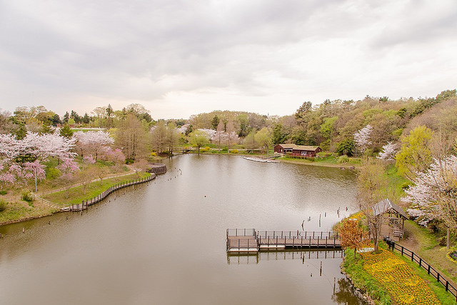 如詩如畫的夢幻場景！賞櫻、逛城堡、溜滑梯 三個願望一次滿足_img_24