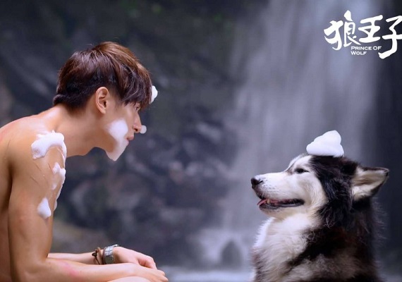 你追的劇上榜沒？2016十大網友最愛台劇_img_7