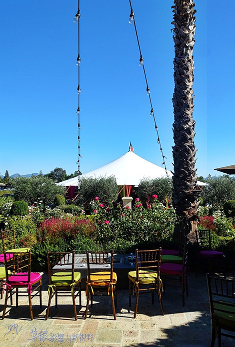 又到收割的季節！造訪納帕酒莊，品嚐世界級冠軍紅酒_img_14