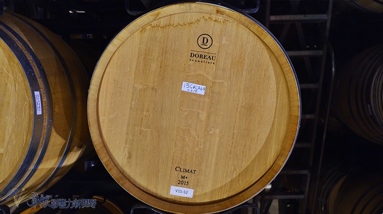 又到收割的季節！造訪納帕酒莊，品嚐世界級冠軍紅酒_img_21