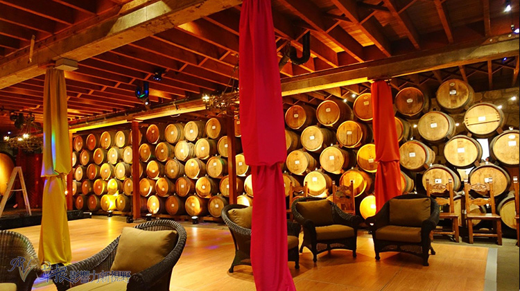 又到收割的季節！造訪納帕酒莊，品嚐世界級冠軍紅酒_img_22