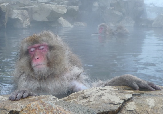 溫泉飯店精選！原來網友最愛去這裡泡湯！_img_1