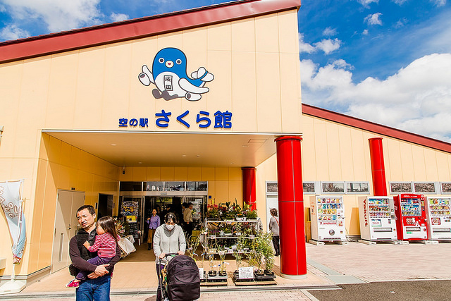 去千葉櫻山公園賞櫻花、看飛機！還有「嚕嚕米列車」與你作伴_img_3