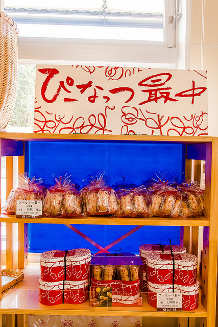 去千葉櫻山公園賞櫻花、看飛機！還有「嚕嚕米列車」與你作伴_img_7