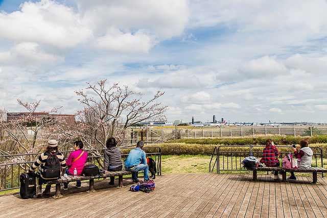 去千葉櫻山公園賞櫻花、看飛機！還有「嚕嚕米列車」與你作伴_img_10