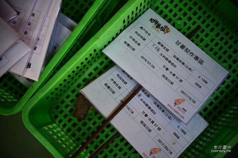 每一次低頭都是向土地致敬！體驗農人們的蕃薯精神_img_4