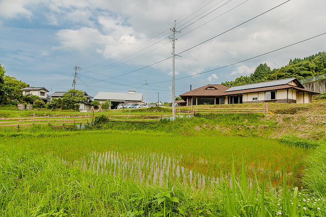 來去鄉下住一晚吧!感受日本爺爺奶奶的人情味_img_1