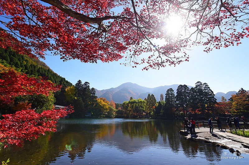 前進日本由布院.金鱗湖賞楓!秋天限定的一場紅色楓暴_img_18