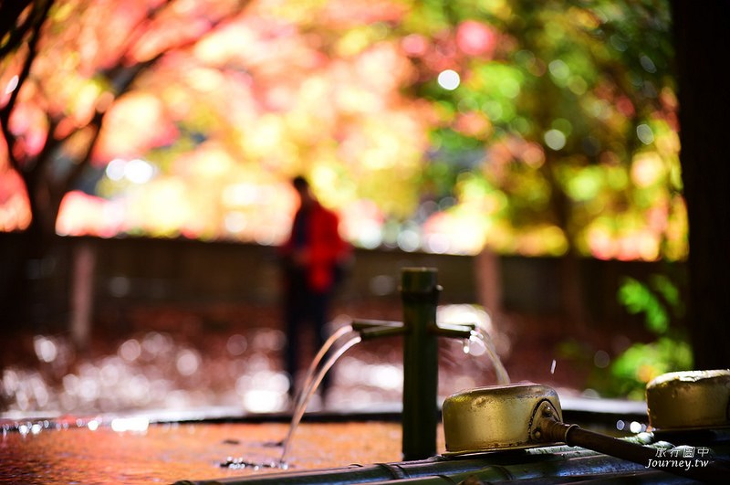 前進日本由布院.金鱗湖賞楓!秋天限定的一場紅色楓暴_img_37