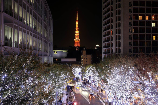 不可錯過的絕美景點！來東京，感受夢幻聖誕氣息_img_4