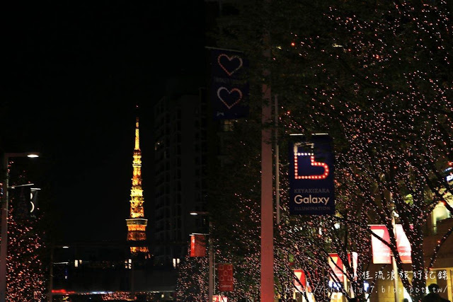 不可錯過的絕美景點！來東京，感受夢幻聖誕氣息_img_5