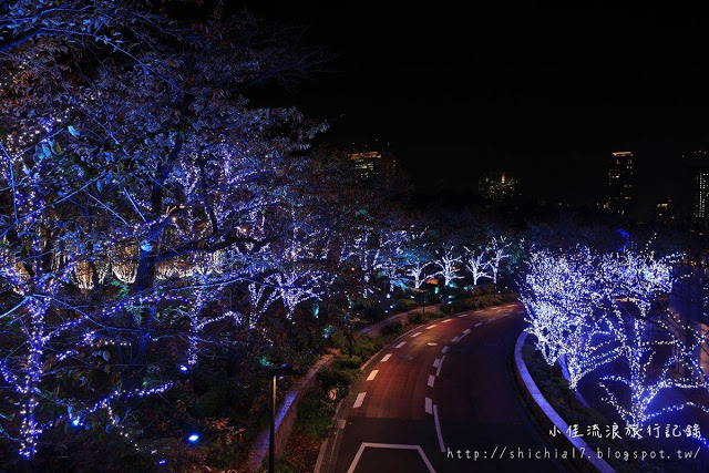 不可錯過的絕美景點！來東京，感受夢幻聖誕氣息_img_6