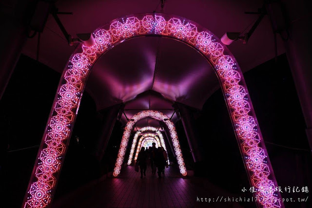 不可錯過的絕美景點！來東京，感受夢幻聖誕氣息_img_9