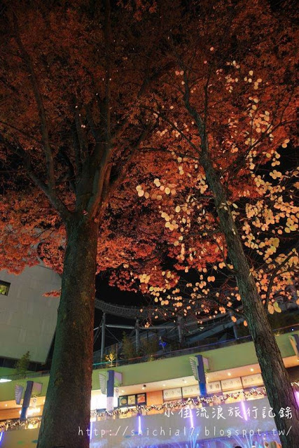 不可錯過的絕美景點！來東京，感受夢幻聖誕氣息_img_12