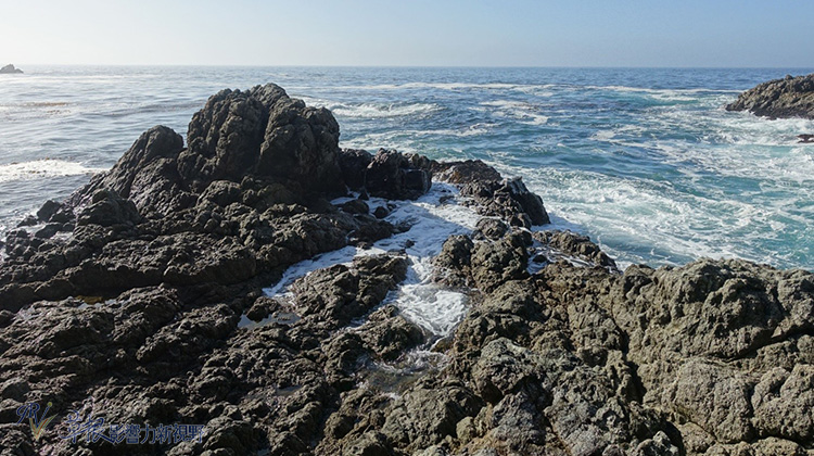 陸地和海洋最美的相遇！造訪海岸天堂──加州大索爾_img_11