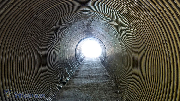 陸地和海洋最美的相遇！造訪海岸天堂──加州大索爾_img_23