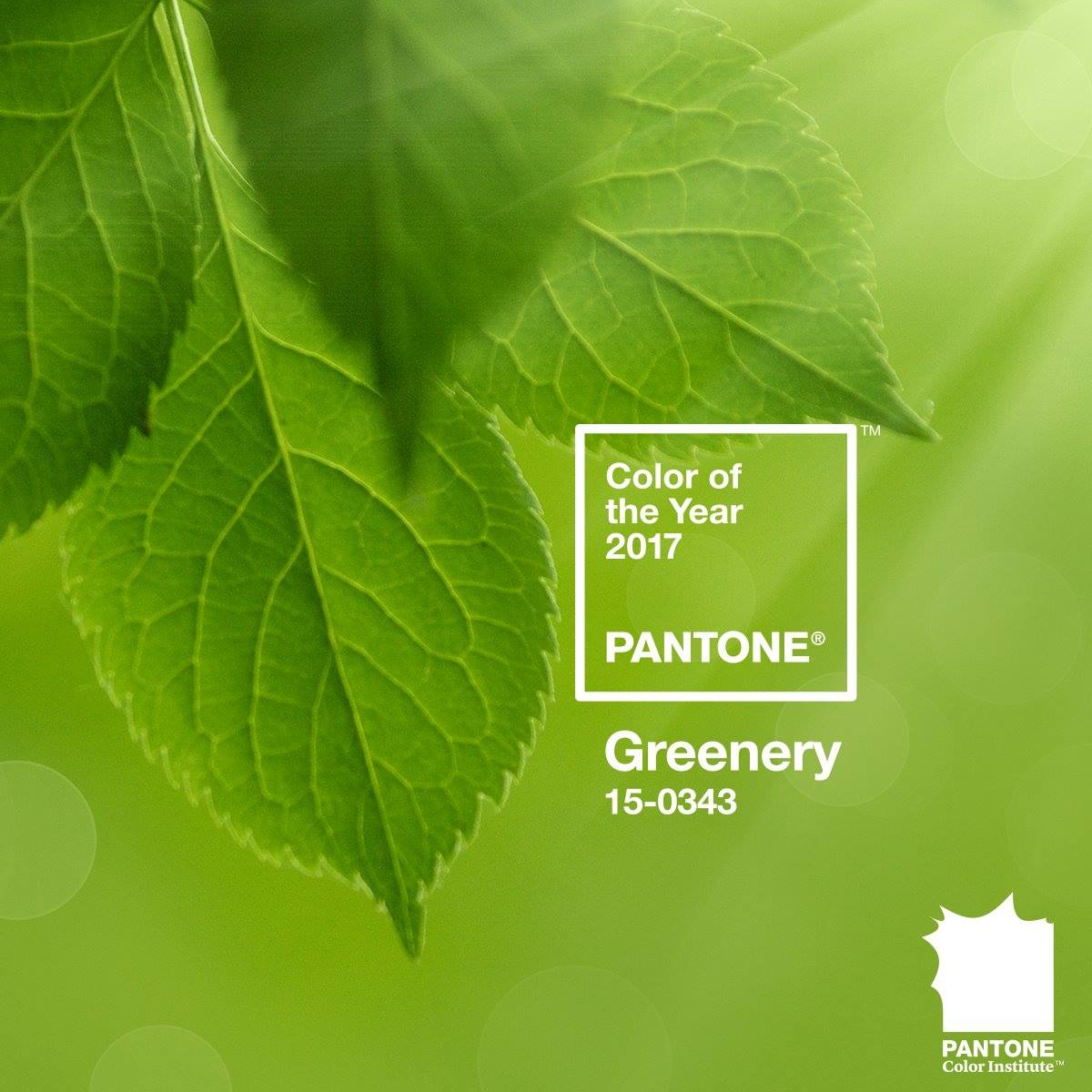 Pantone 2017代表色出爐!從10大春夏趨勢流行色中選中了它..._img_5