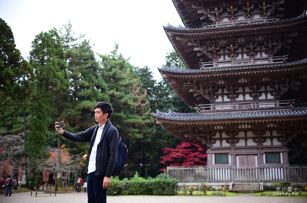秋天留下的微紅唇印．在世界遺產醍醐寺賞絕美楓景！_img_5