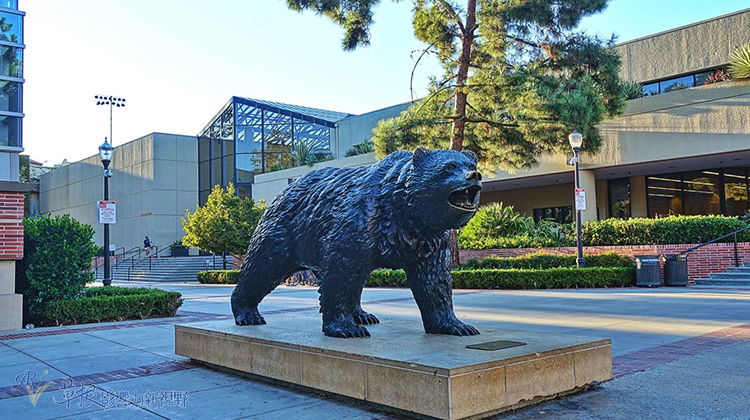 美國有哪些國定假日你知道嗎？你該知道的十大特色節日_img_5