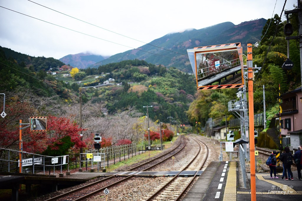 前進日本三大秘境！來「大步危峽」欣賞動人的峽谷風貌_img_4