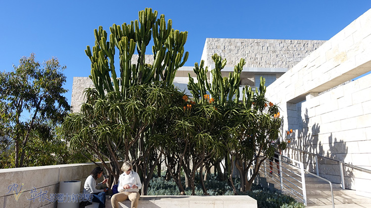 一年四季都值得造訪的私人美術館！洛杉磯蓋提中心_img_12