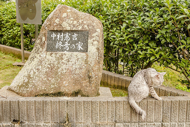 廣島尾道散策之旅！愛上好多貓又充滿懷舊感的老街道_img_77