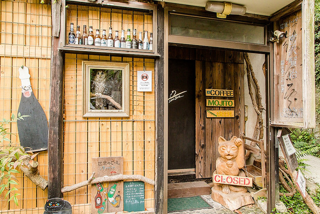 廣島尾道散策之旅！愛上好多貓又充滿懷舊感的老街道_img_88