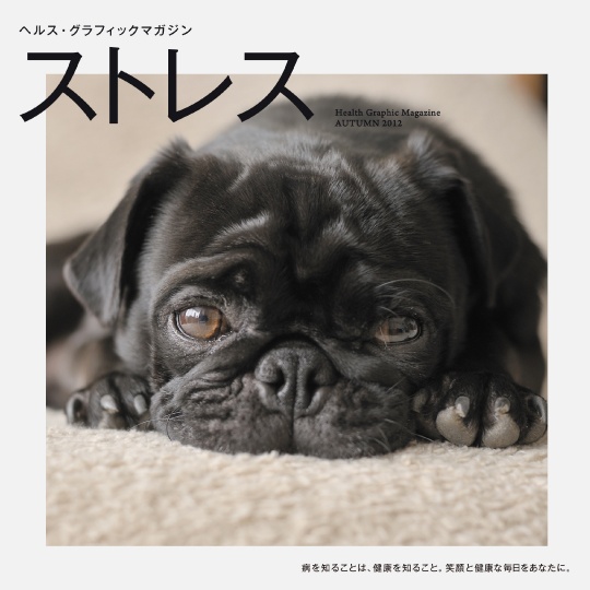 日本藥局設計的幽默健康季刊，看完後我會開始重視健康問題了！_img_11