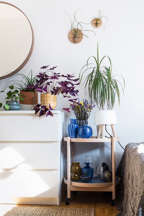 植物與居家完美結合！小坪數也能打造自然公寓_img_9