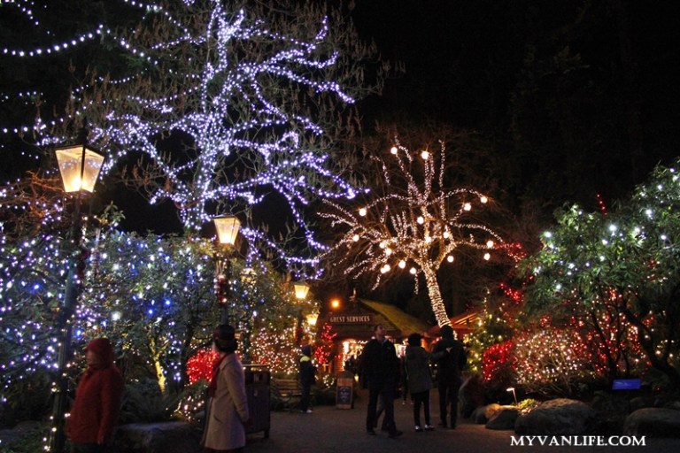 聖誕燈飾再進化！打造如幻境般的卡佩蘭諾吊橋公園_img_4
