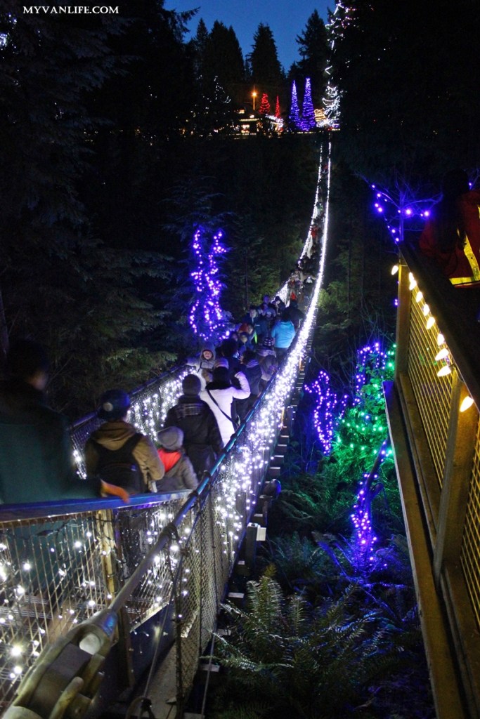 聖誕燈飾再進化！打造如幻境般的卡佩蘭諾吊橋公園_img_10