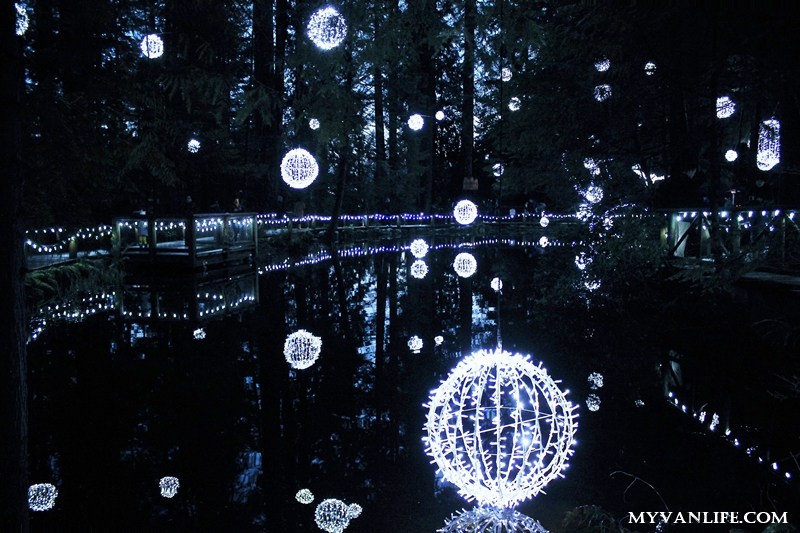 聖誕燈飾再進化！打造如幻境般的卡佩蘭諾吊橋公園_img_15