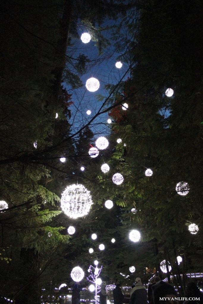 聖誕燈飾再進化！打造如幻境般的卡佩蘭諾吊橋公園_img_16