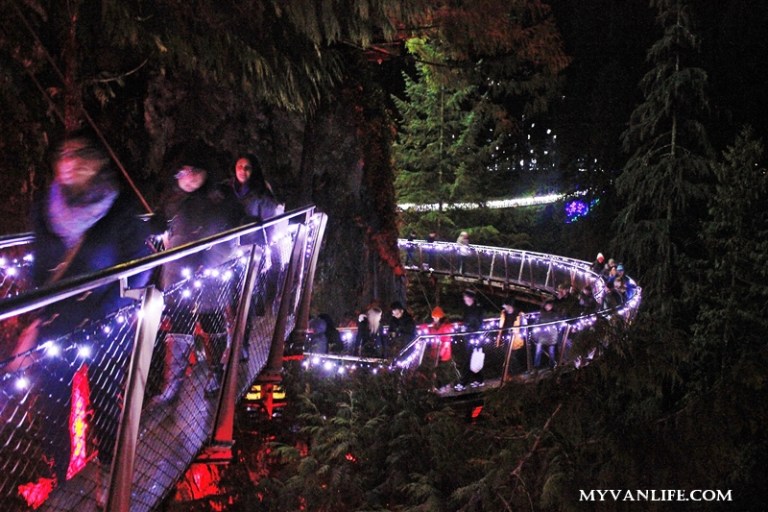 聖誕燈飾再進化！打造如幻境般的卡佩蘭諾吊橋公園_img_18