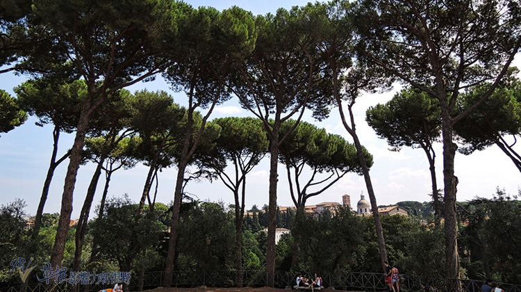 傾聽古城的千年故事！走一趟古羅馬競技場，探索古文明的痕跡_img_28