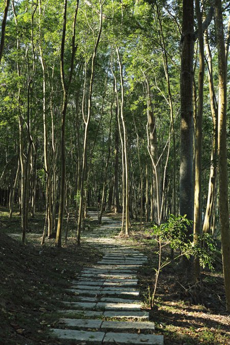 來「勤美學」練習慢生活！感受充滿驚喜的竹編美學_img_16