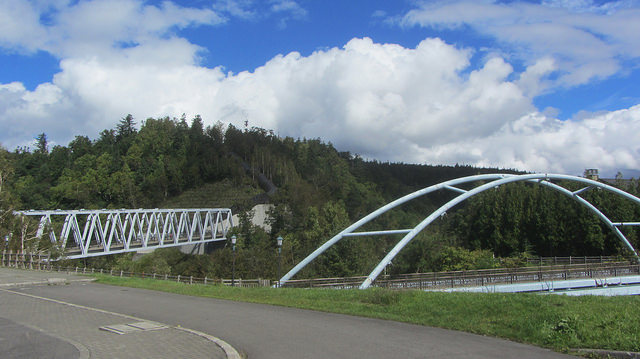 十勝岳望岳台&白ひげの滝(白鬚瀑布)&白金青池_img_18