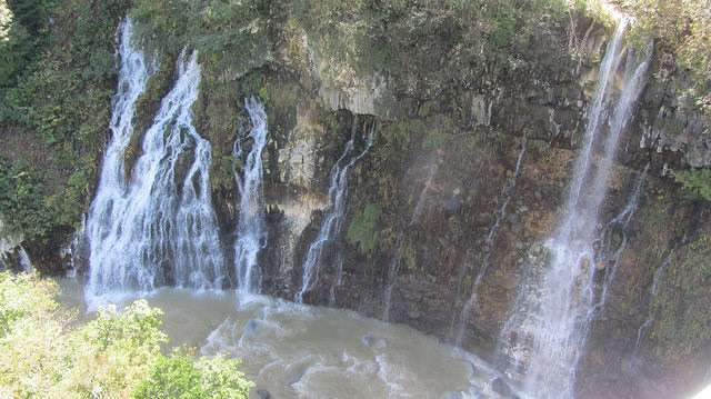 十勝岳望岳台&白ひげの滝(白鬚瀑布)&白金青池_img_22