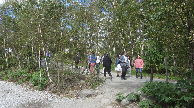 十勝岳望岳台&白ひげの滝(白鬚瀑布)&白金青池_img_27