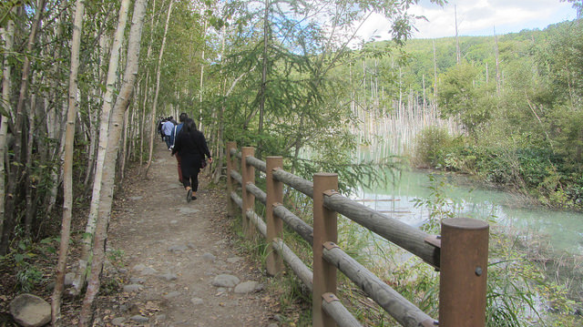 十勝岳望岳台&白ひげの滝(白鬚瀑布)&白金青池_img_29