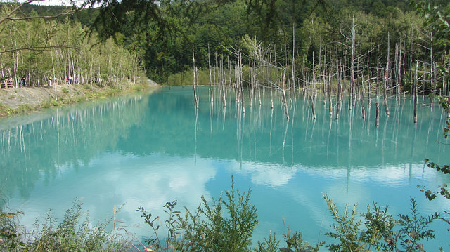 十勝岳望岳台&白ひげの滝(白鬚瀑布)&白金青池_img_36