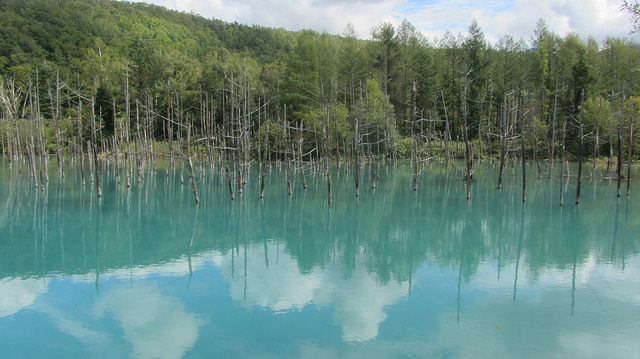 十勝岳望岳台&白ひげの滝(白鬚瀑布)&白金青池_img_37