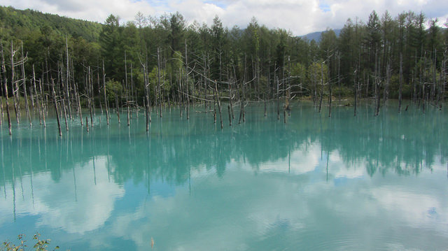 十勝岳望岳台&白ひげの滝(白鬚瀑布)&白金青池_img_38