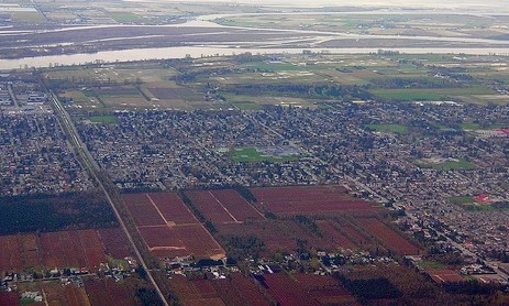 給我一顆小紅莓，我給你加拿大小鎮的歡樂慶典！_img_3