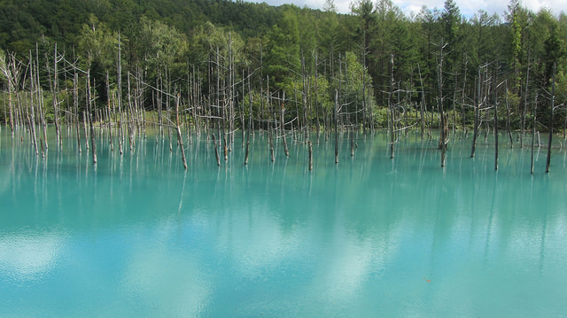 十勝岳望岳台&白ひげの滝(白鬚瀑布)&白金青池_img_39