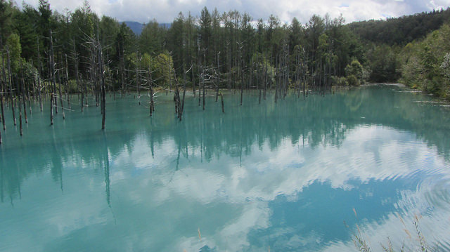 十勝岳望岳台&白ひげの滝(白鬚瀑布)&白金青池_img_40