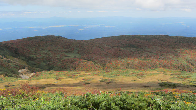 【日本賞楓】楓葉染紅山頭的栗駒山_img_48