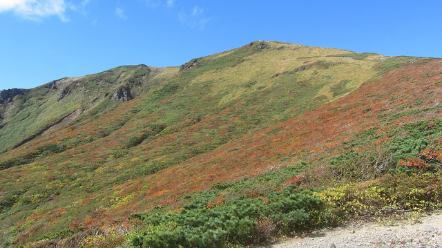 【日本賞楓】楓葉染紅山頭的栗駒山_img_54